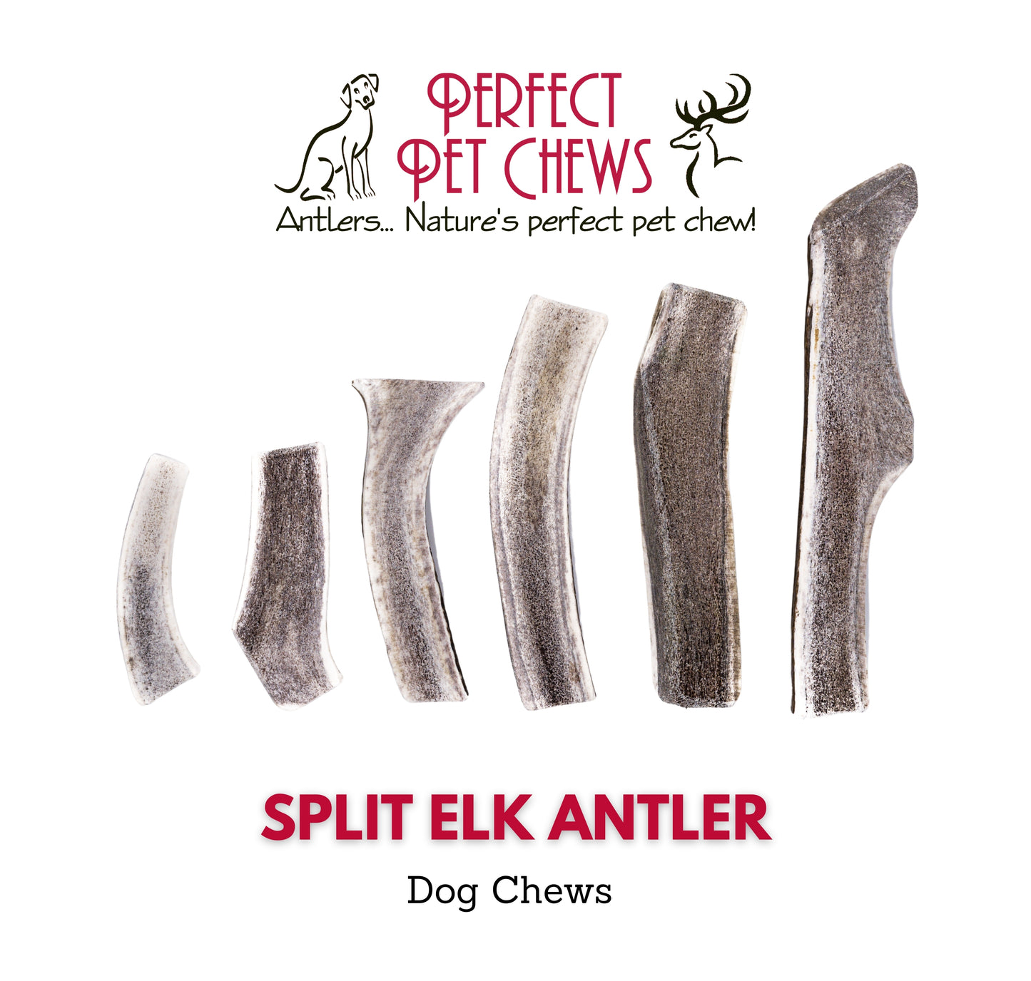 Split Elk Antler Dog Chew- All Natural, Grade A, Premium Antler Dog Treats, Organic Dog Chews, Naturally Shed Antlers from USA