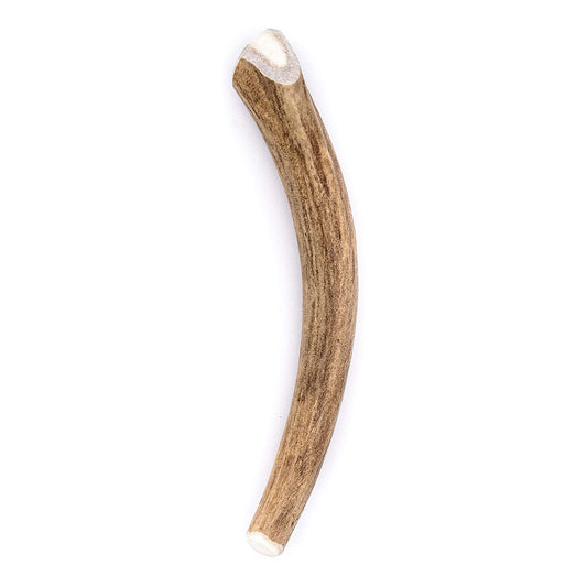 Small Long Deer Antler Dog Chew