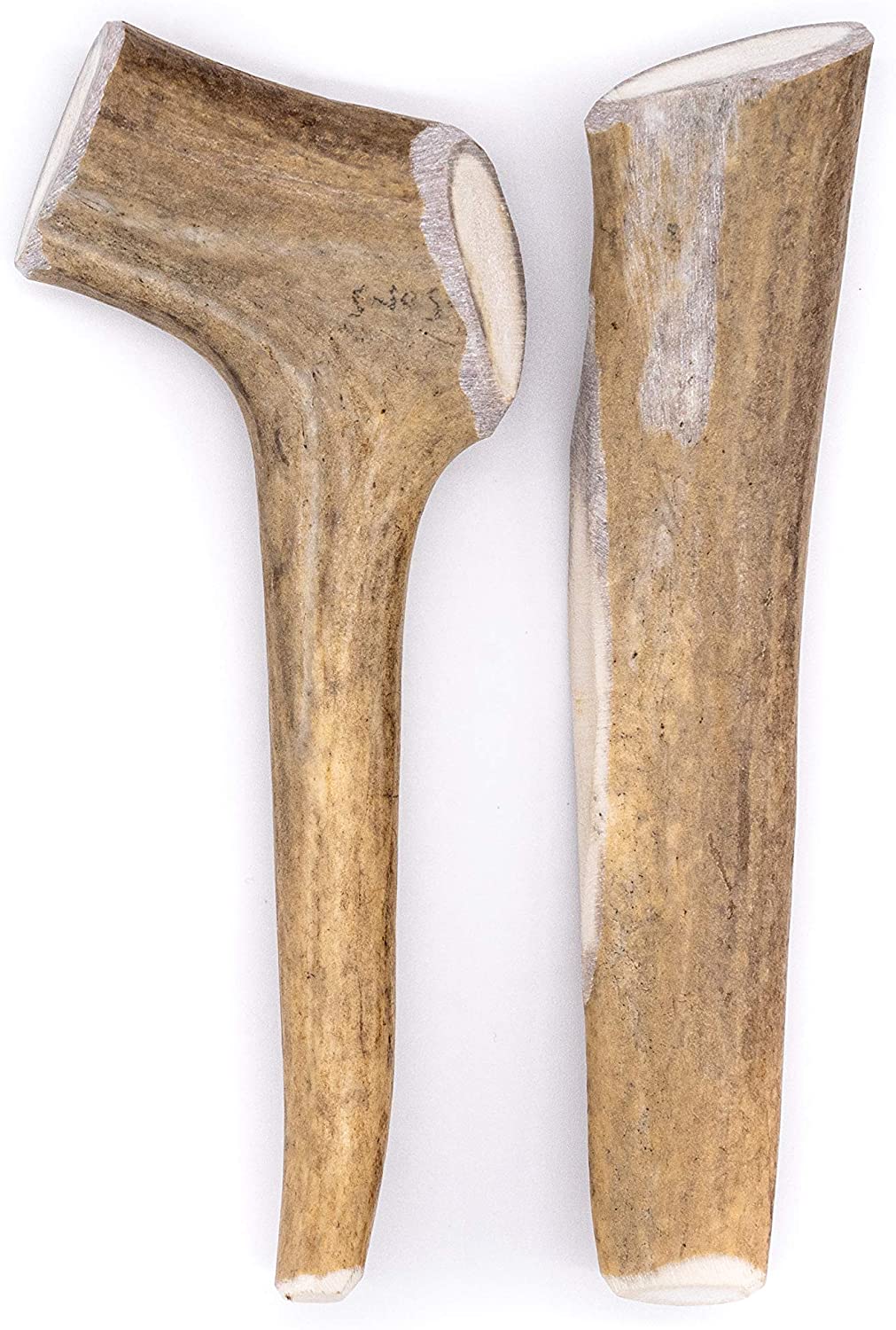 Medium Deer Antler Dog Chew