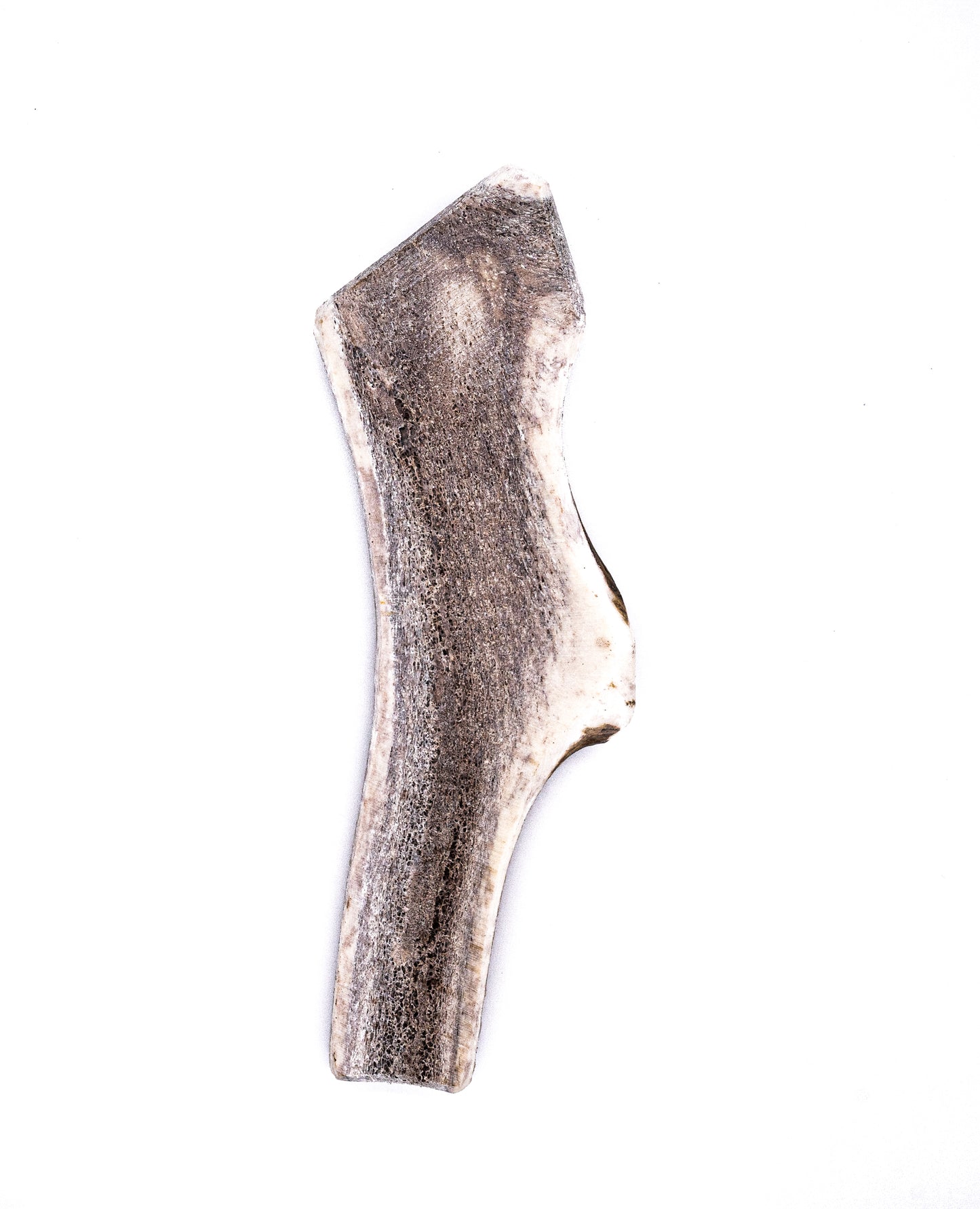 Split Elk Antler Dog Chew- All Natural, Grade A, Premium Antler Dog Treats, Organic Dog Chews, Naturally Shed Antlers from USA