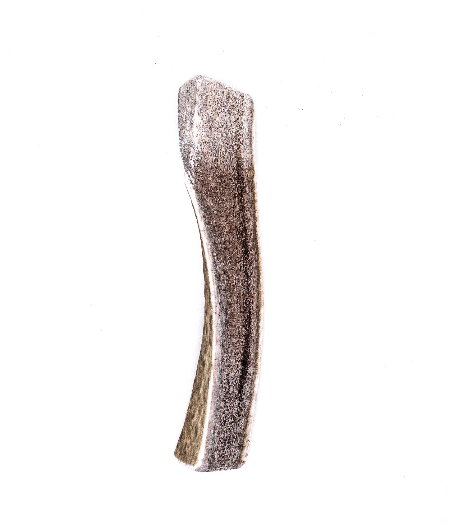 Split Elk Antler Dog Chew- All Natural, Grade A, Premium Antler Dog Treats, Organic Dog Chews, Naturally Shed Antlers from USA