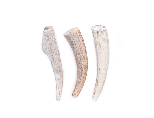 Small Economy Antler Dog Chew
