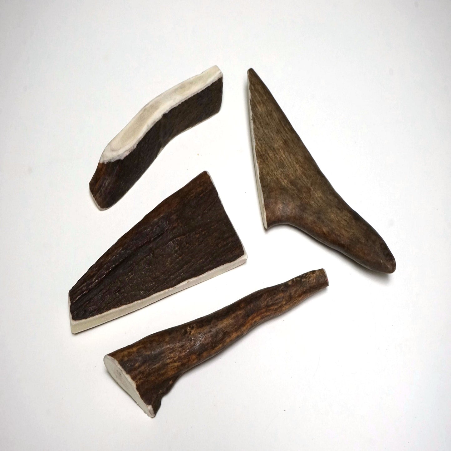 Bulk Medium Moose Antler Dog Chew