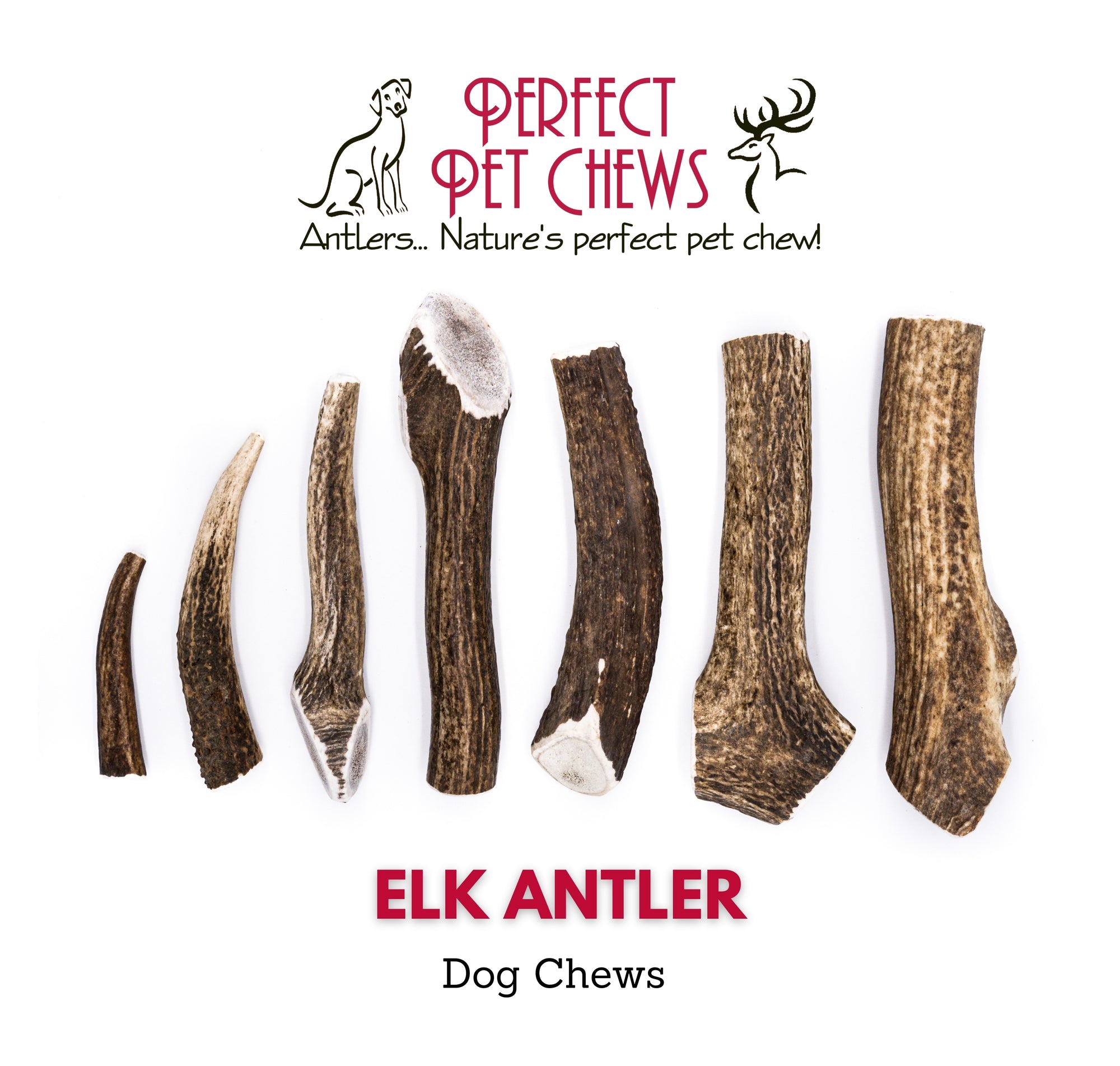Elk Antler Dog Chews