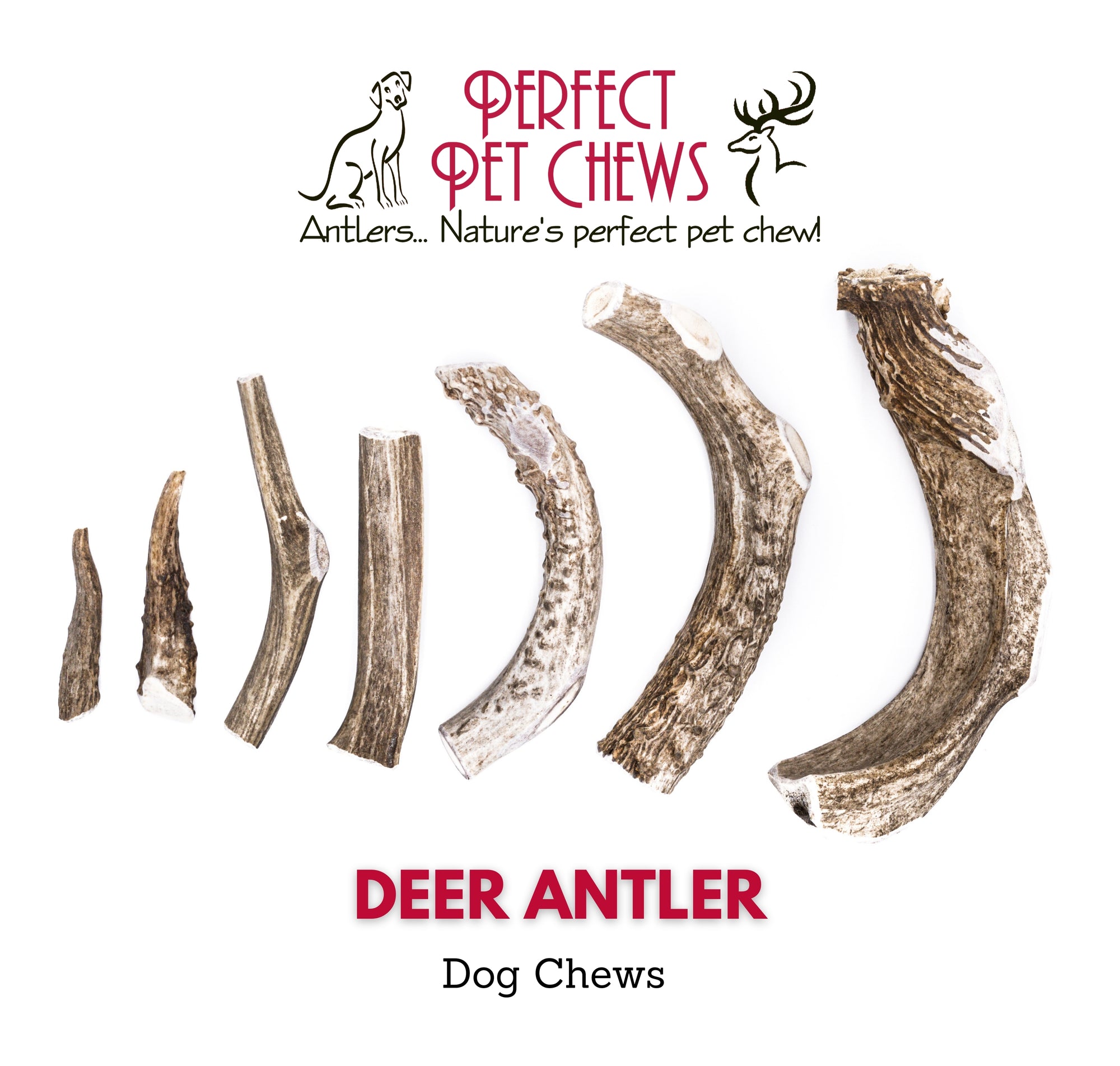 Deer Antler Dog Chews