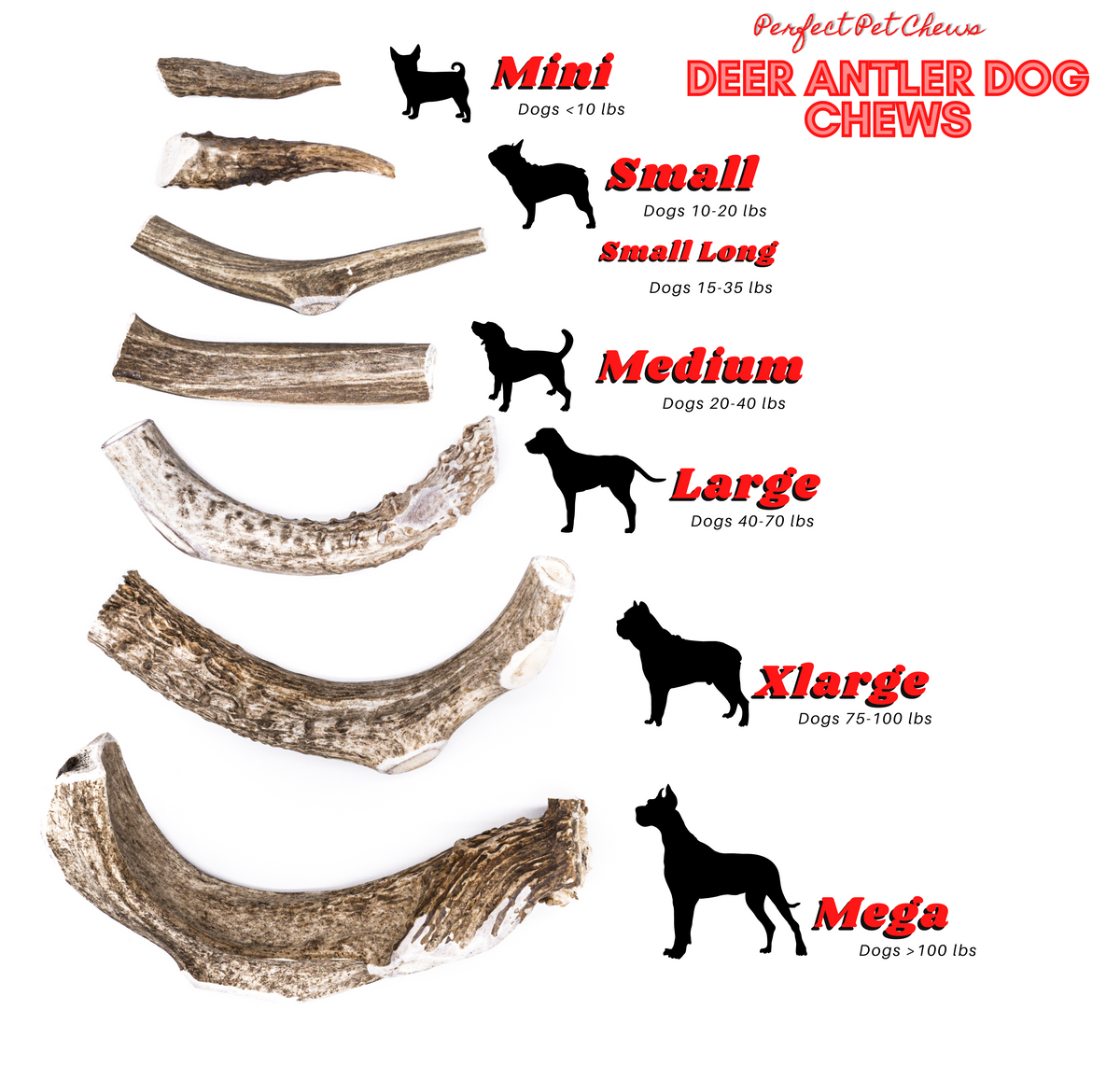 X-Large Deer Antler Dog Chew