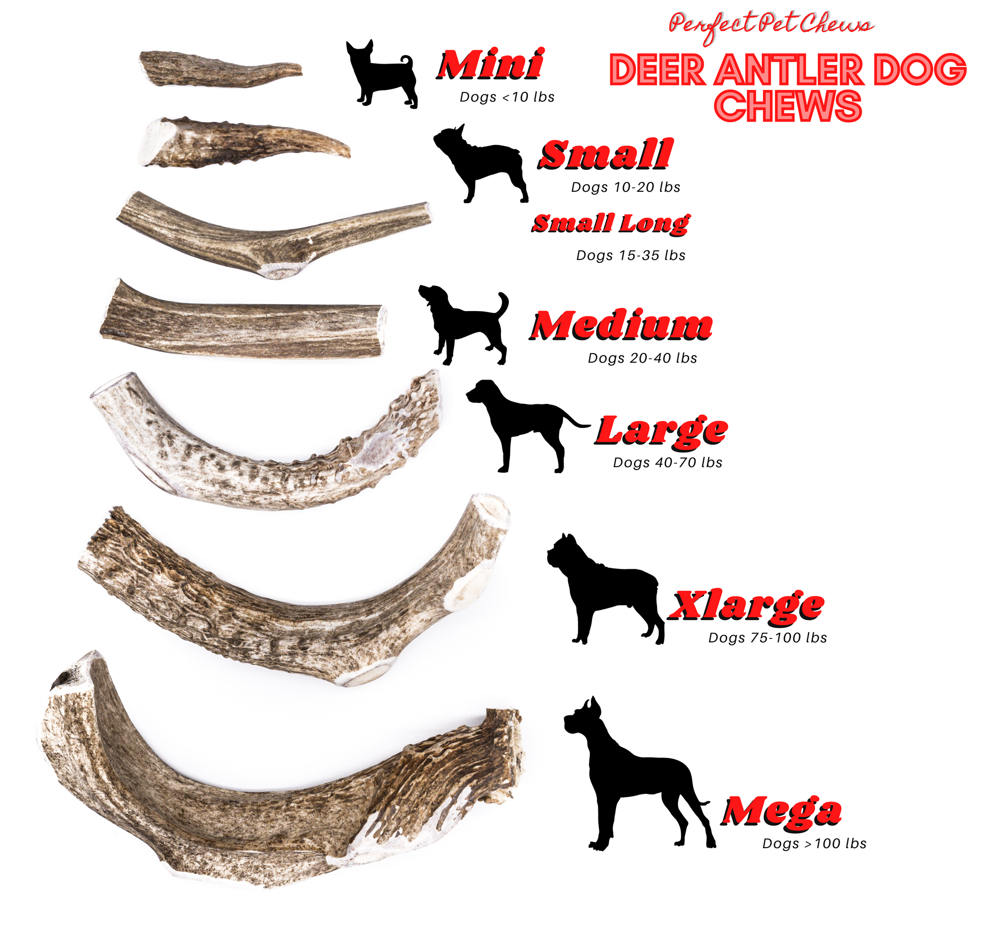 Antlers for deals puppies