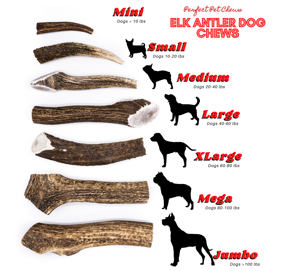 Small Elk Antler Dog Chew