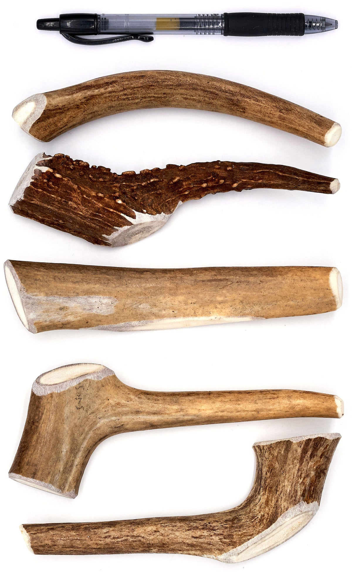 Medium Deer Antler Dog Chew