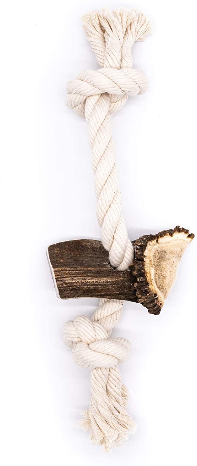 X-Large Split Elk Antler Rope Toy