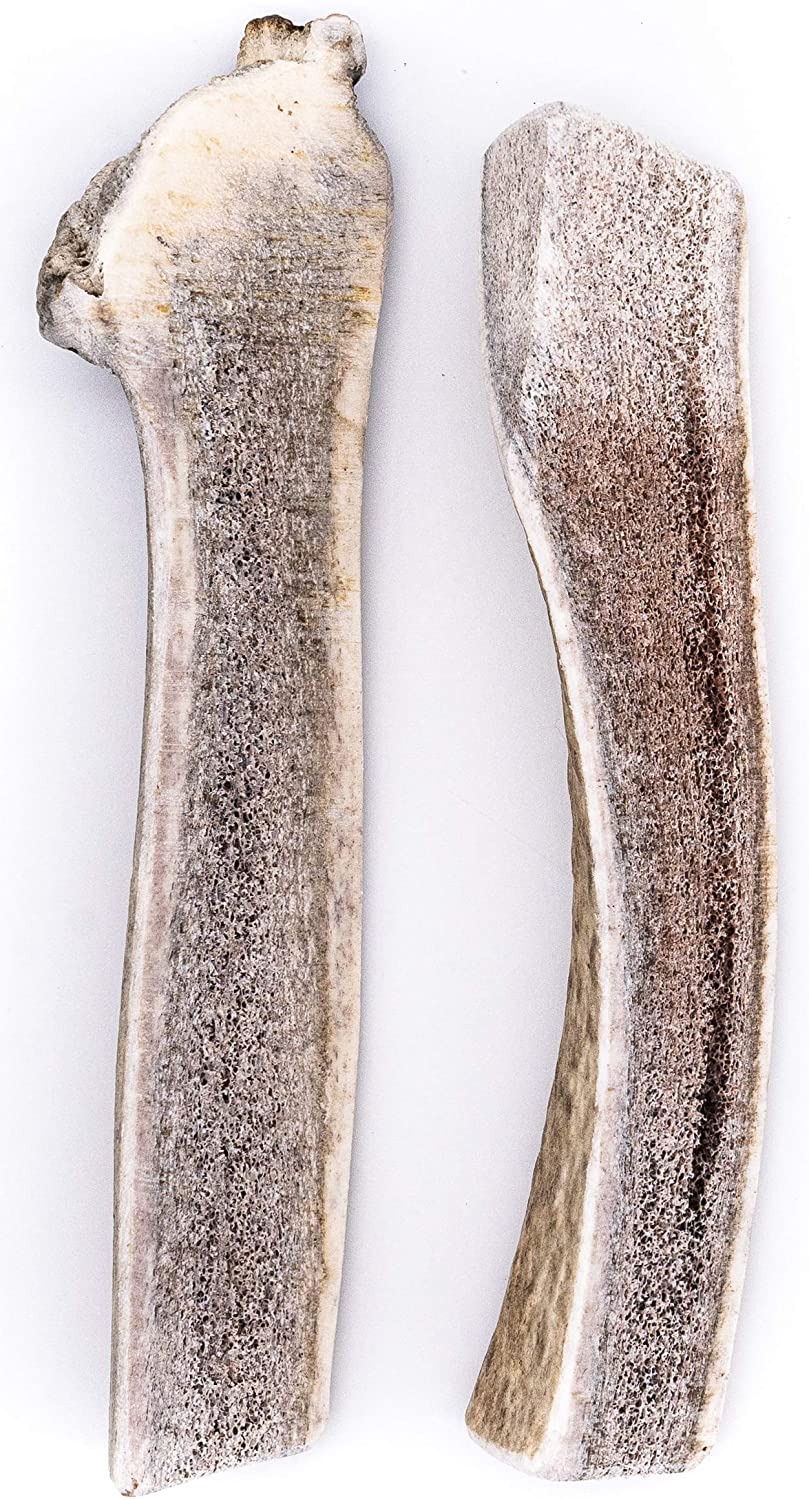 Bulk Large Split Elk Antler Dog Chew