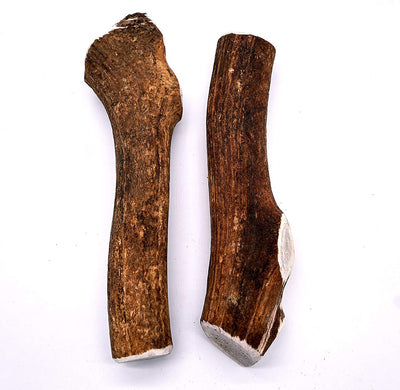 Large Elk Antler Dog Chew