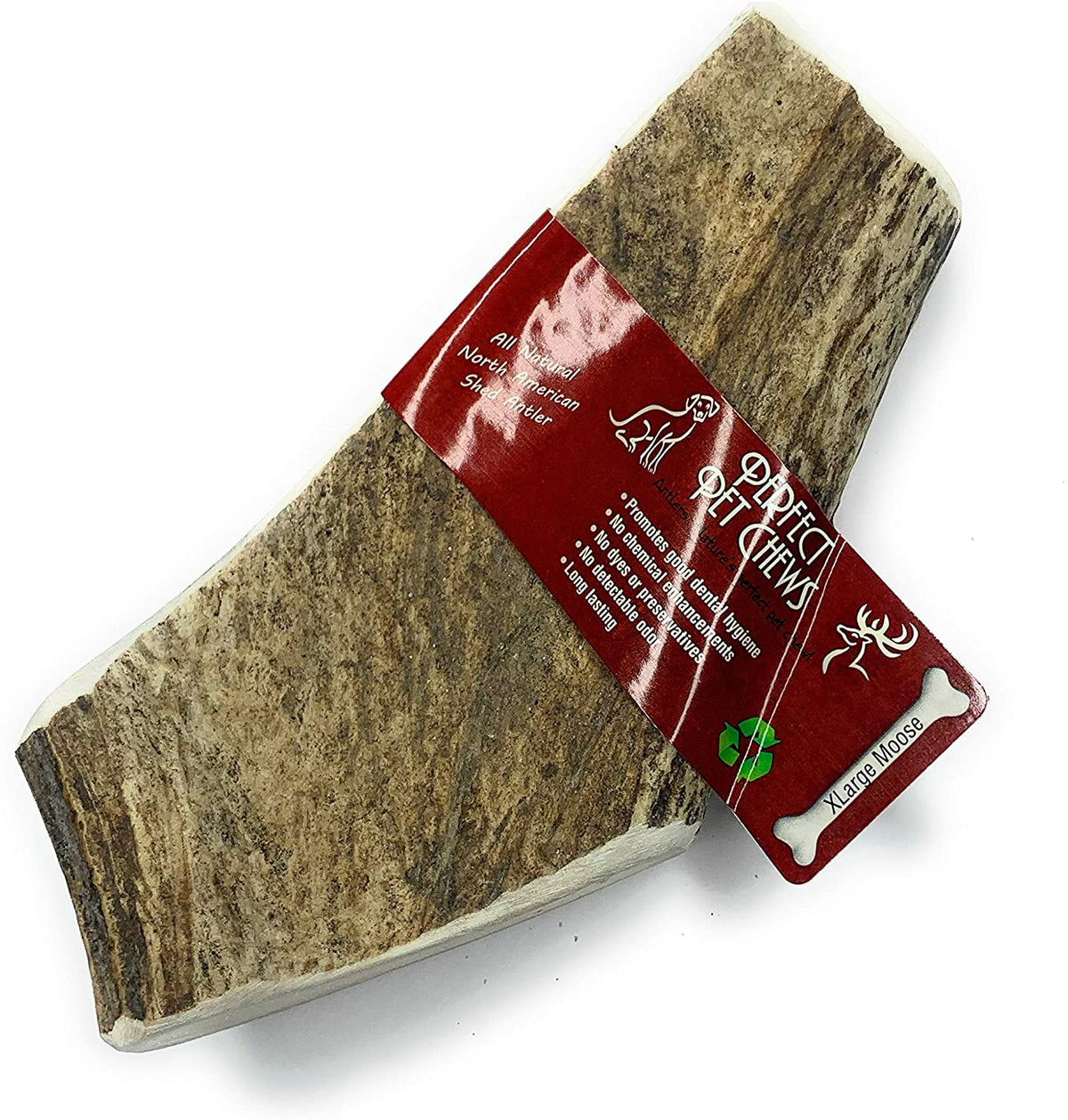 X-Large Moose Antler Dog Chew