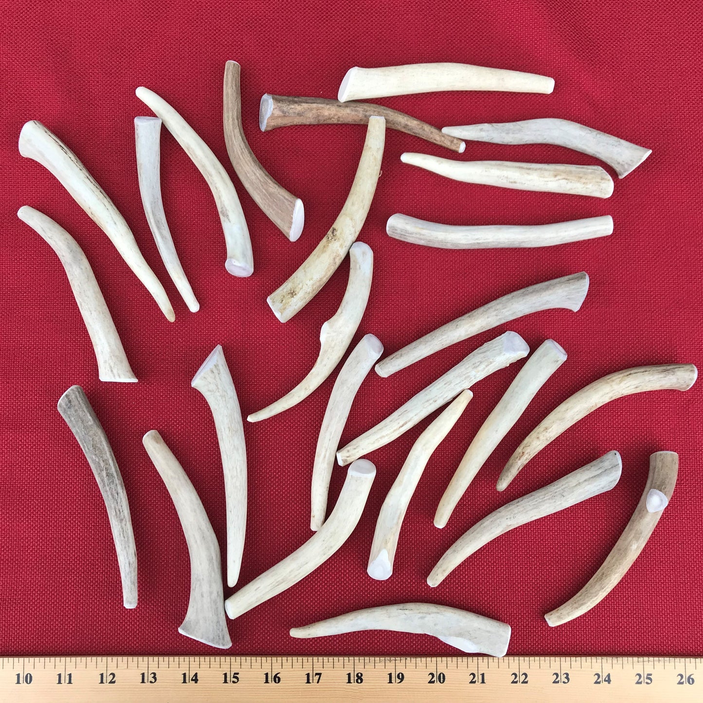 Bulk Small Deer Antler Dog Chew - Long