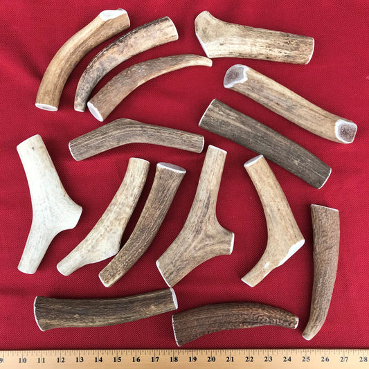 Bulk Large Elk Antler Dog Chew