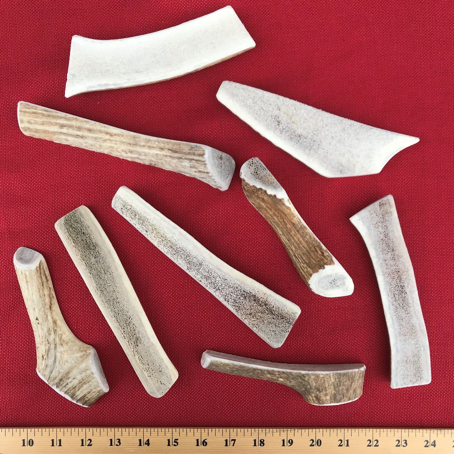 Bulk Large Split Elk Antler Dog Chew