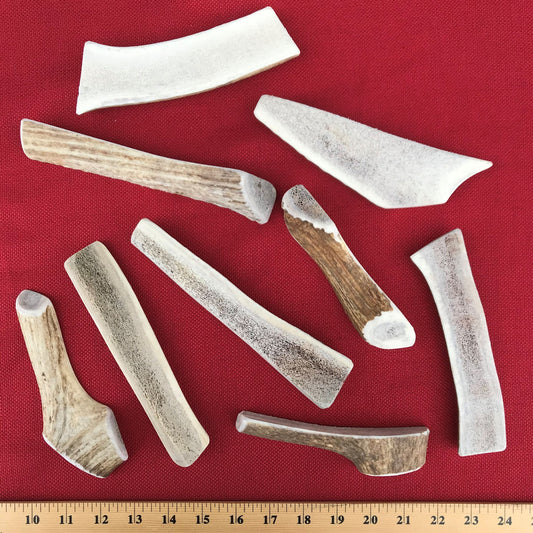 Bulk Large Split Elk Antler Dog Chew