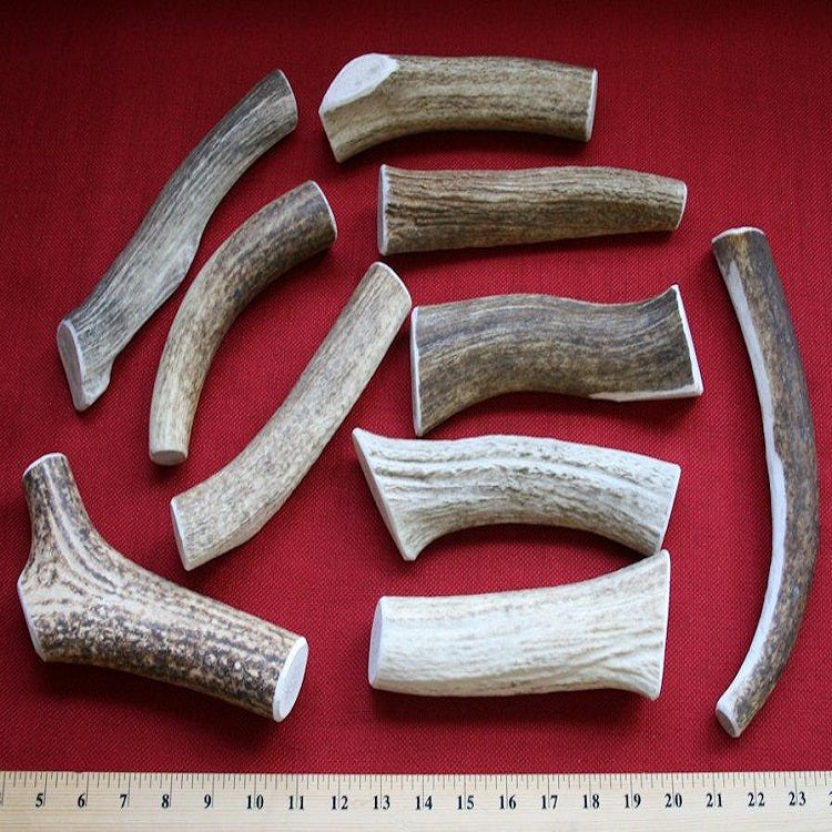 Bulk X-Large Elk Antler Dog Chew