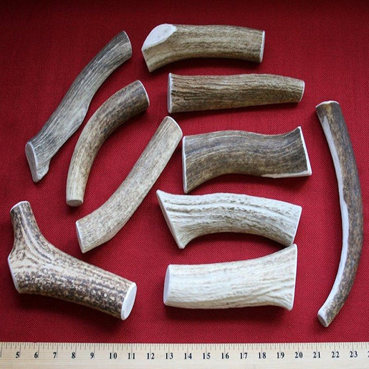 Bulk X-Large Elk Antler Dog Chew