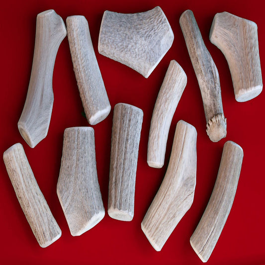 Bulk Large Economy Antler Dog Chew