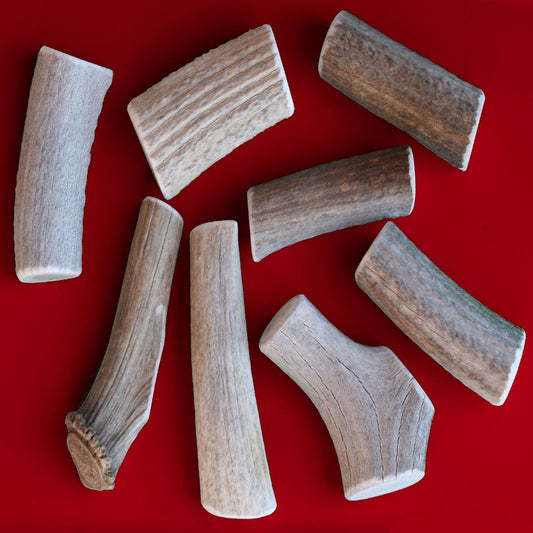 Bulk X-Large Economy Antler Dog Chew