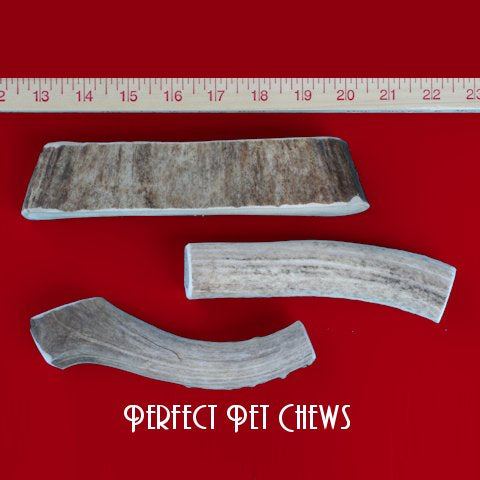 Medium Antler Dog Chew Assortment