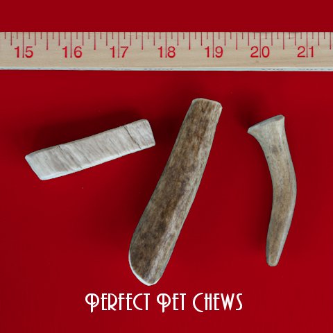 Miniature Antler Dog Chew Assortment