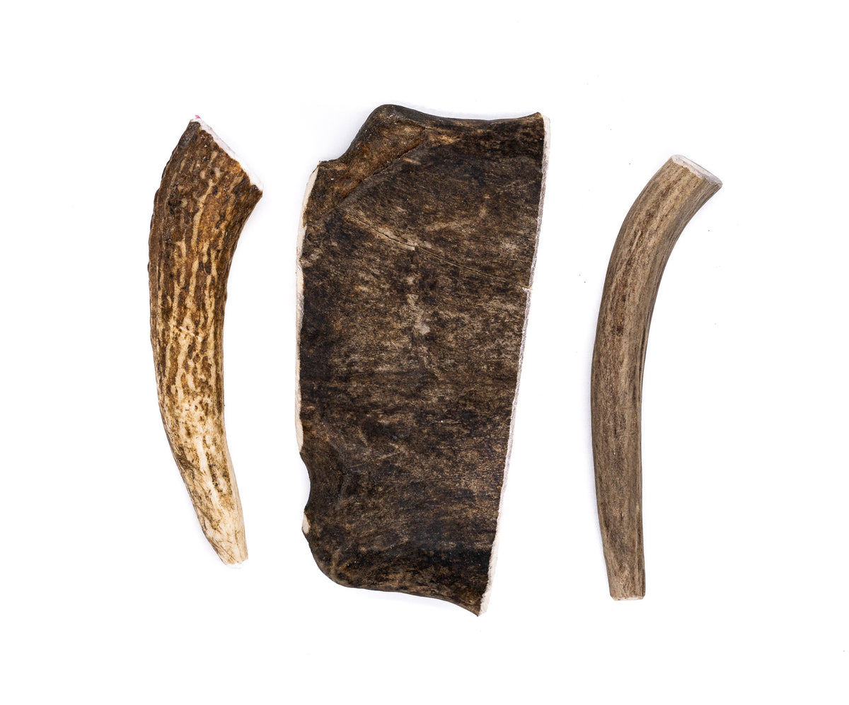 Small Antler Dog Chew Assortment