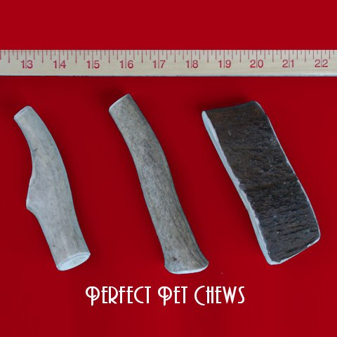 Small Antler Dog Chew Assortment