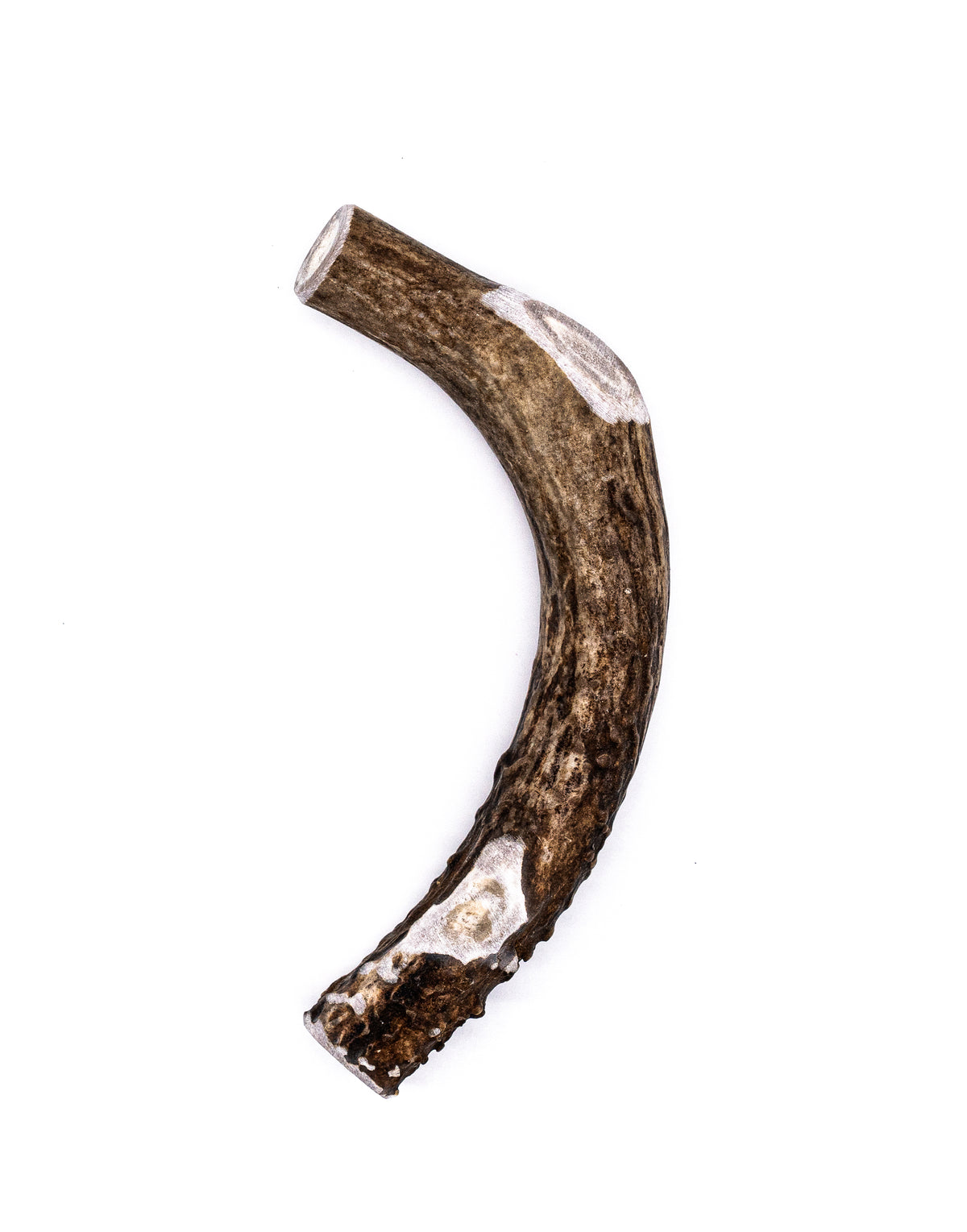 Deer Antler Dog Chew