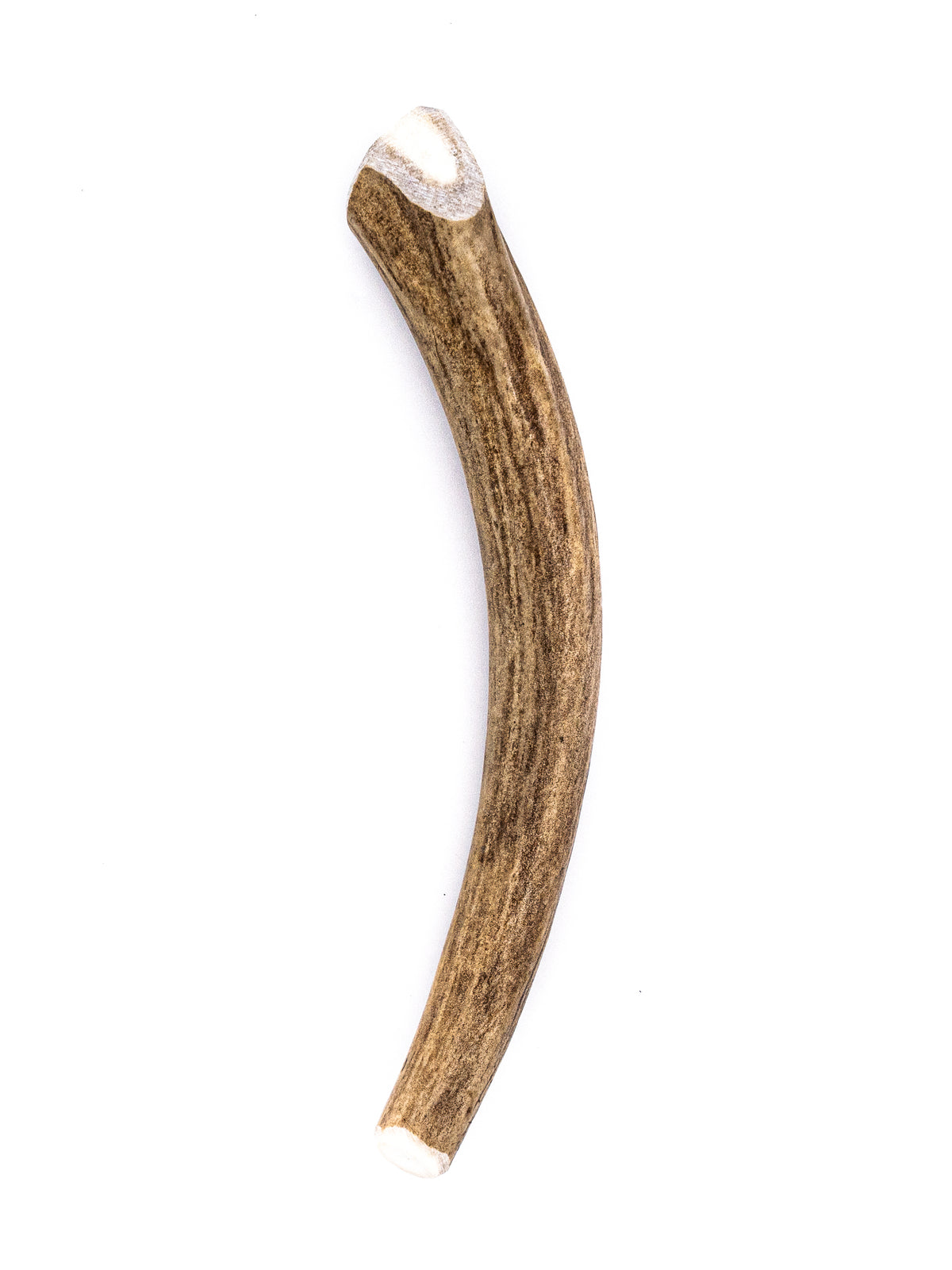 Medium Deer Antler Dog Chew