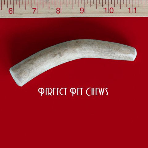 Medium Deer Antler Dog Chew