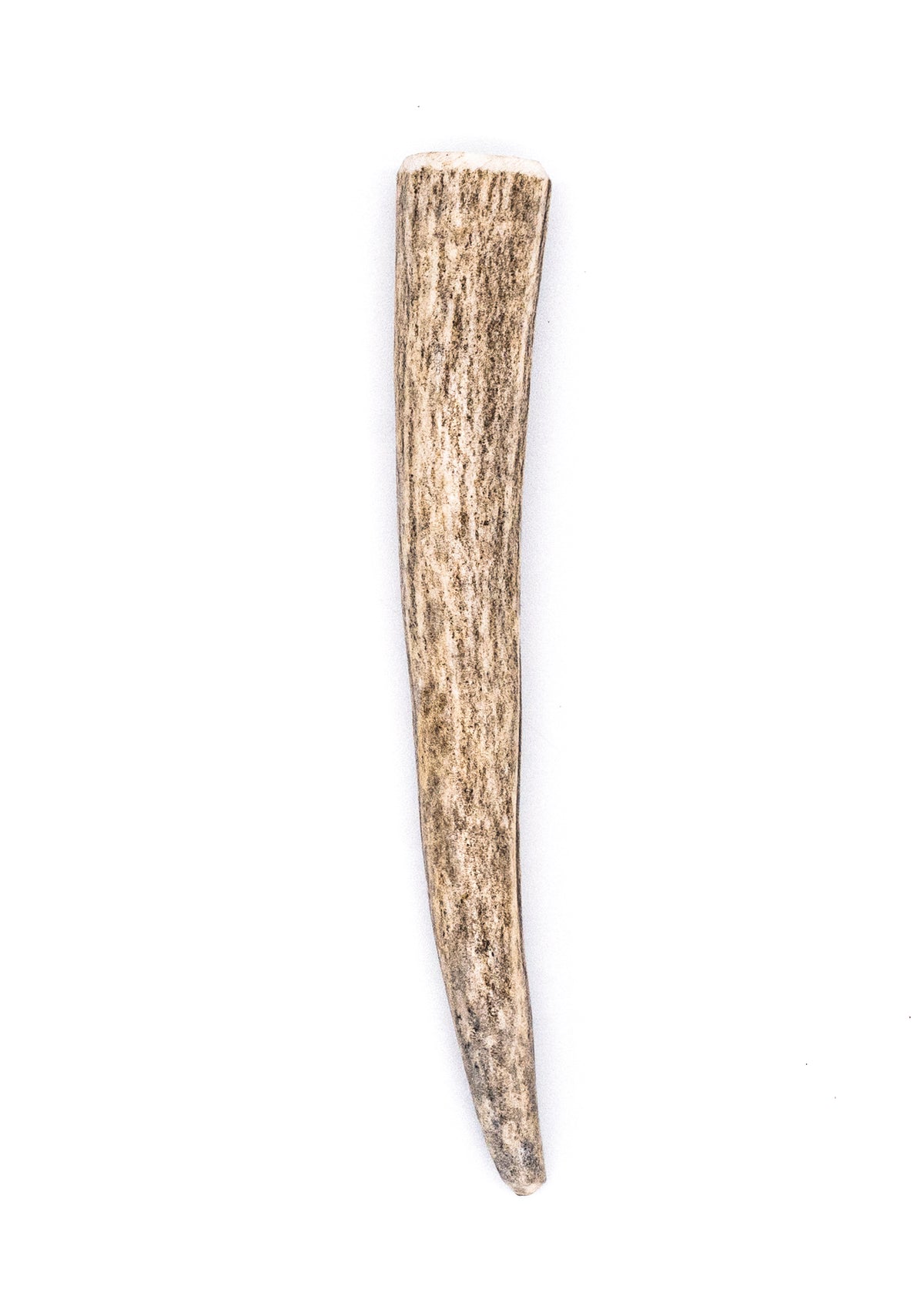 Miniature Deer Antler Dog Chew