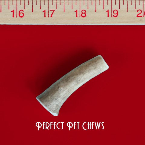 Miniature Deer Antler Dog Chew