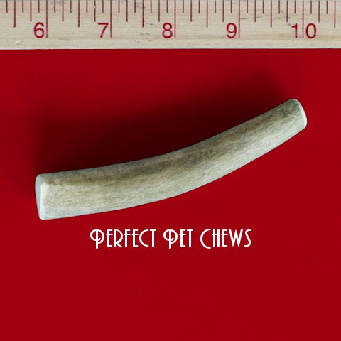 Small Deer Antler Dog Chew