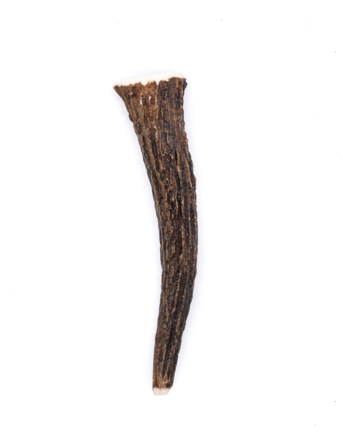 Miniature Elk Antler Dog Chew