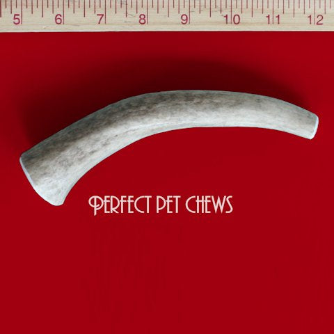 Small Elk Antler Dog Chew