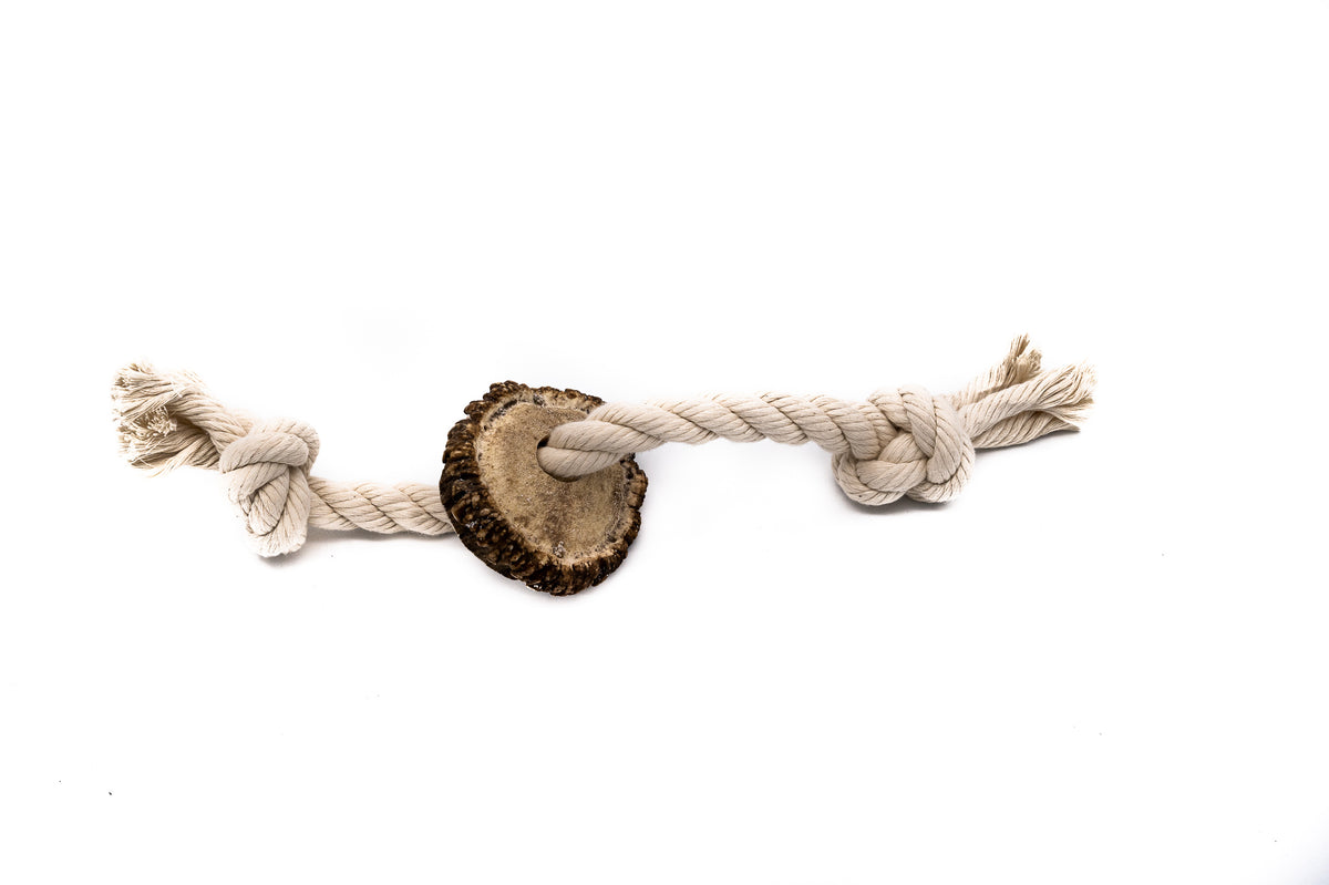 Large Burr Antler Rope Toy