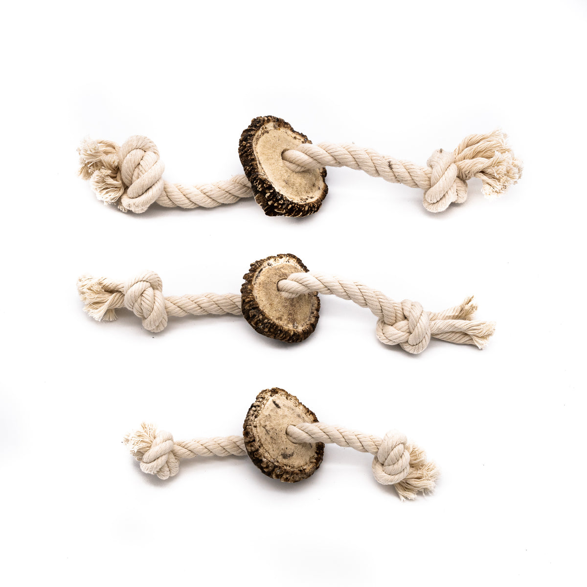 Medium Burr Antler Rope Toy