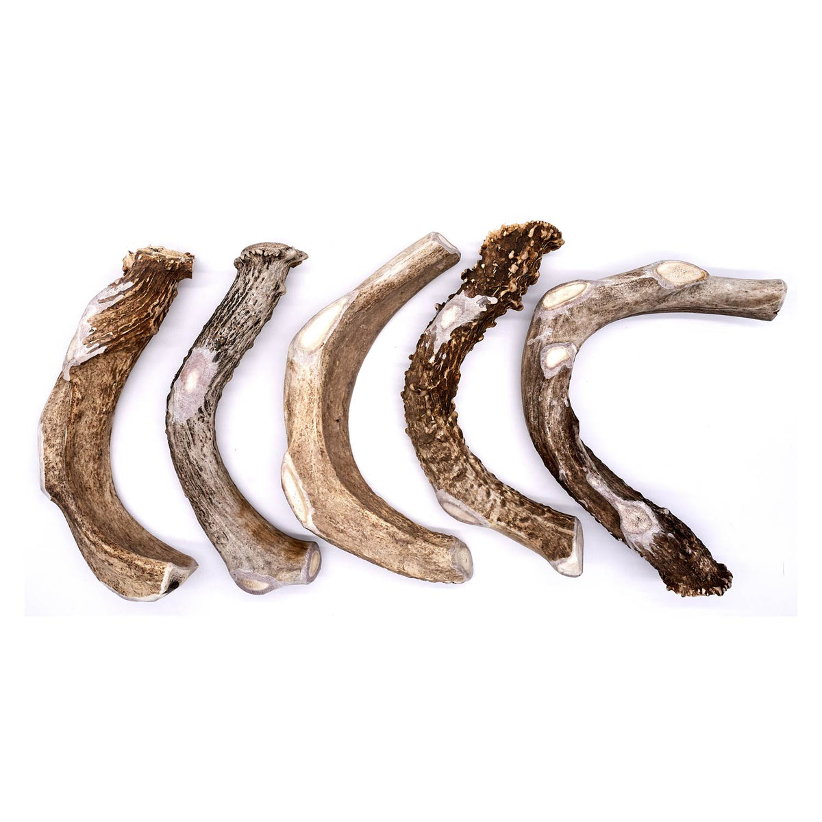 Deer Antler Dog Chew