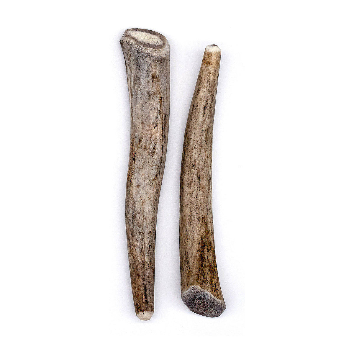 Deer Antler Dog Chew