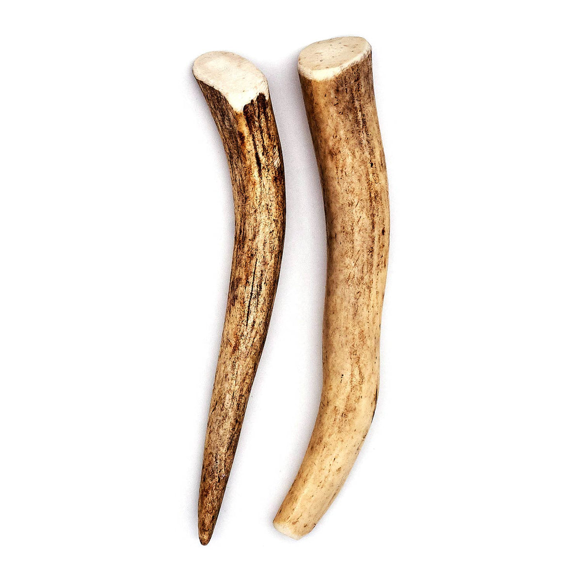 Deer Antler Dog Chew