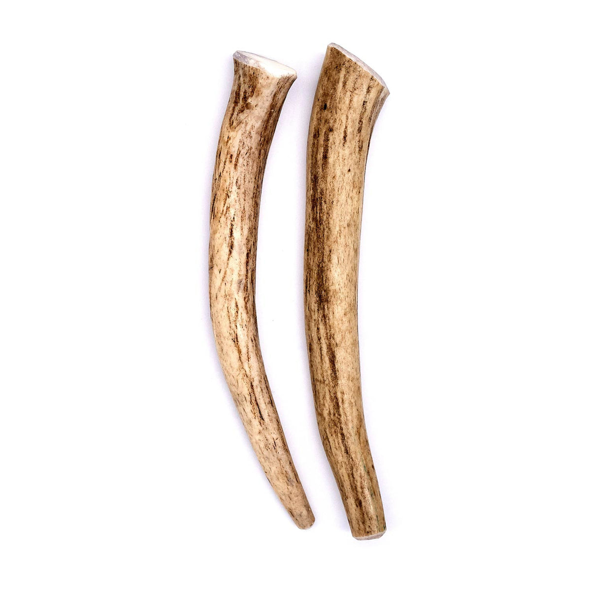 Deer Antler Dog Chew