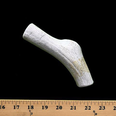 Bulk Large Economy Antler Dog Chew