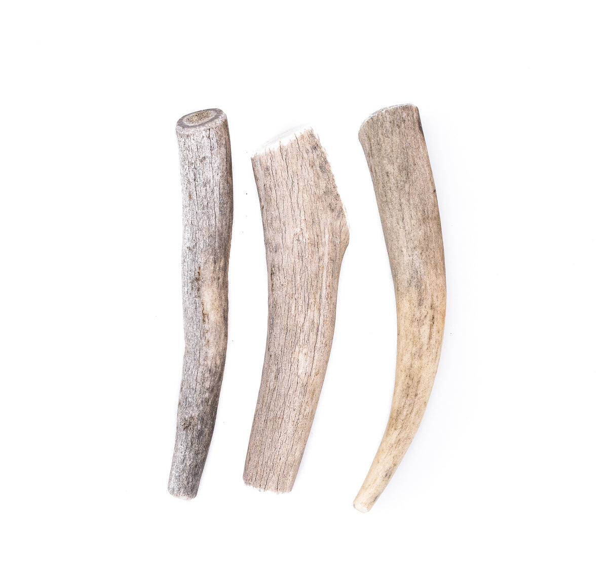 Medium Economy Antler Dog Chew