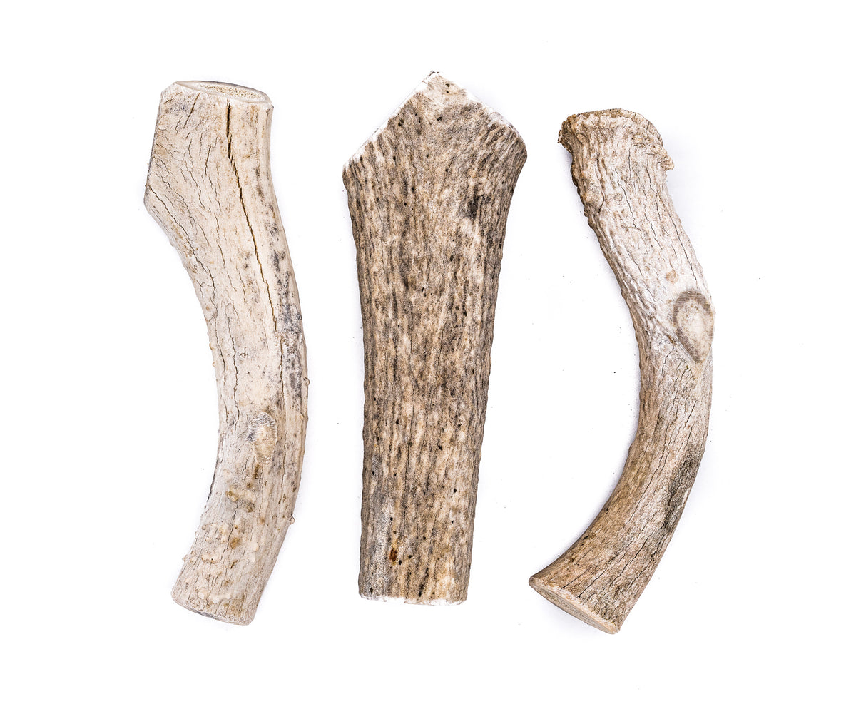 X-Large Economy Antler Dog Chew