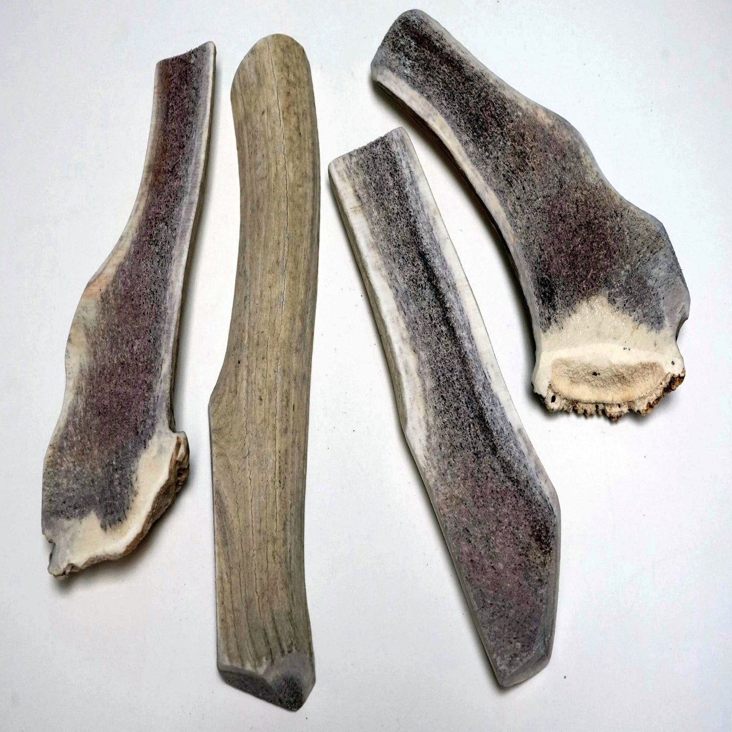 Bulk Mega Split Economy Antler Dog Chew