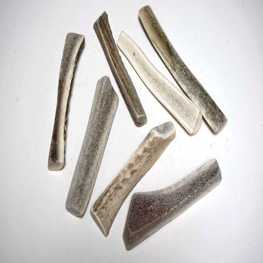 Bulk Medium Split Economy Antler Dog Chew