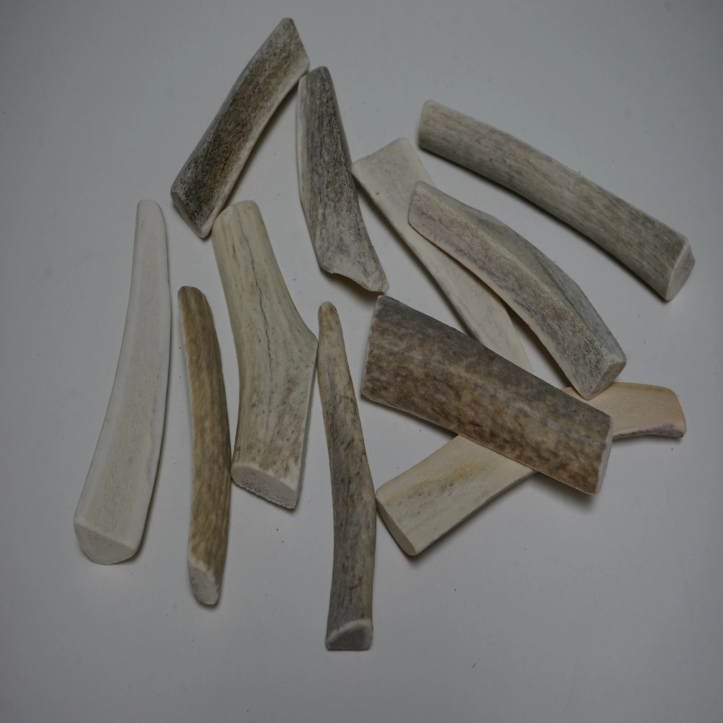 Bulk Small Split Economy Antler Dog Chew