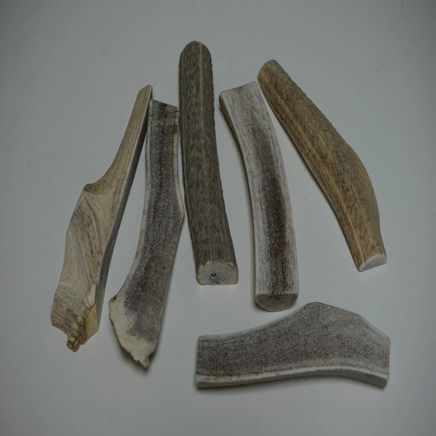 Bulk X-Large Split Economy Antler Dog Chew